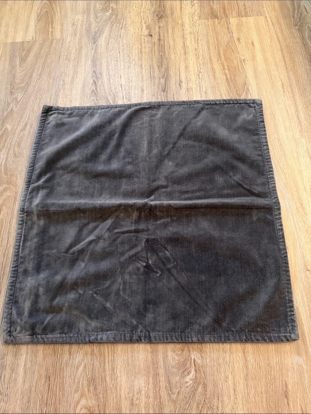 Pottery Barn velvet gray pillow cover